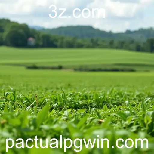 Impactos Econômicos e Sustentabilidade no Brasil